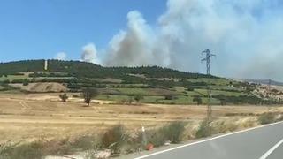Balıkesir Susurluk’ta orman yangını