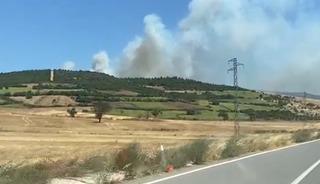 Balıkesir Susurluk&rsquo;ta orman yangını
