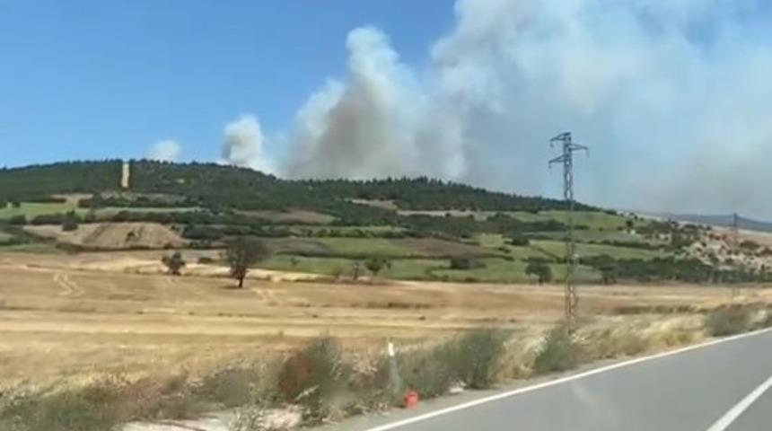 Balıkesir Susurluk&rsquo;ta orman yangını