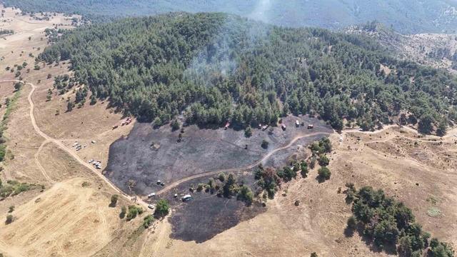 osmaniye de orman yangını kontrol altına alındı 3