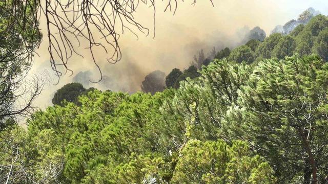 Balıkesir&rsquo;deki yangın tekrar yayılıyor 3