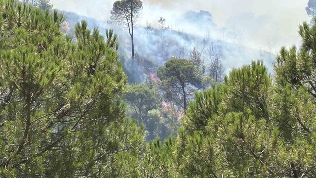 Balıkesir&rsquo;deki yangın tekrar yayılıyor 2