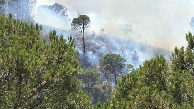 Balıkesir&rsquo;deki yangın tekrar yayılıyor 1