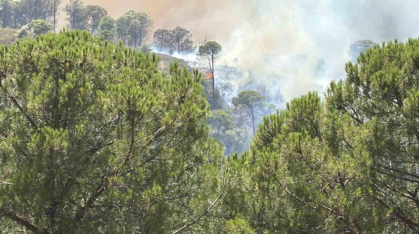 Balıkesir&rsquo;deki yangın tekrar yayılıyor