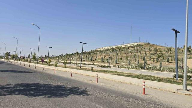 Ceylanpınar da emniyet ve jandarma d&uuml;zenlemesi 2