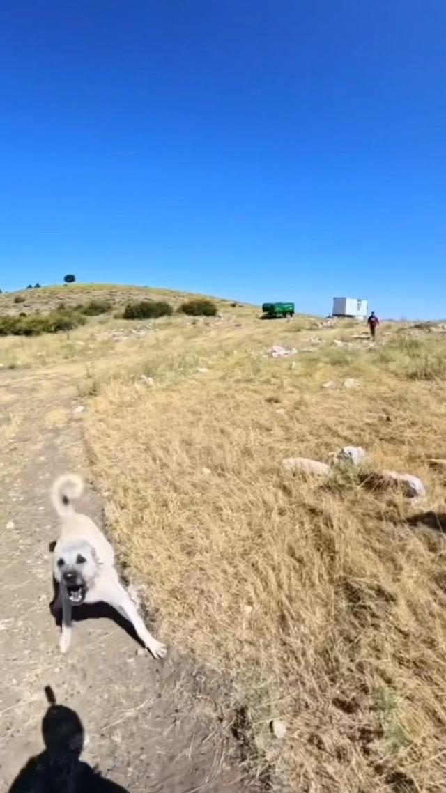 Niğde’de base jump kazası ve köpek saldırısı 3