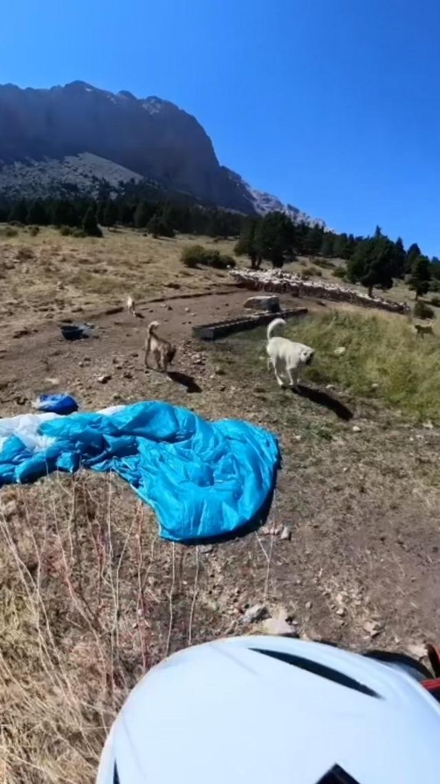 Niğde’de base jump kazası ve köpek saldırısı 2