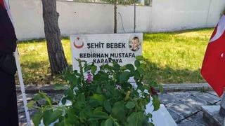 PKK’nın şehit ettiği 11 aylık Bedirhan bebek ve annesi unutulmadı