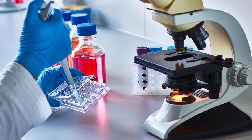 7 soruda k&ouml;k h&uuml;cre teknolojisi: Nedir, nasıl elde edilir, nerede kullanılır?