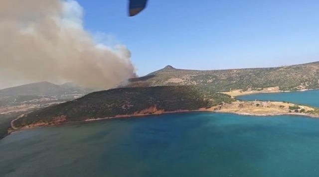 Fo&ccedil;a&rsquo;daki orman yangınına havadan ve karadan m&uuml;dahale 1