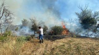 Çankırı'da örtü yangını ağaçlık alana sıçradı