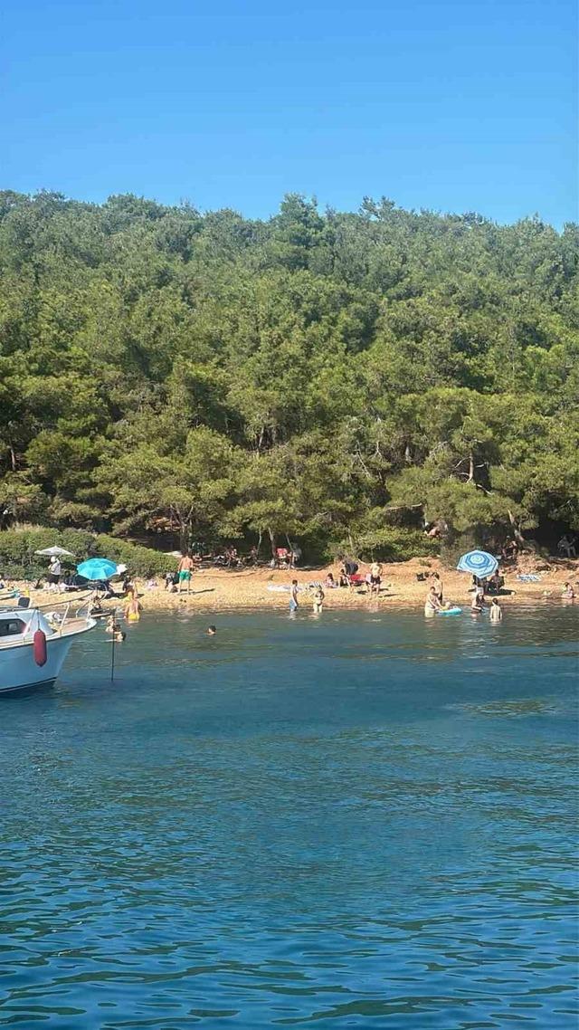 Ayvalık’ta ormanlara giriş yasak ama denetim yetersiz 2