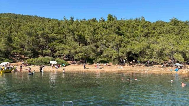 Ayvalık’ta ormanlara giriş yasak ama denetim yetersiz