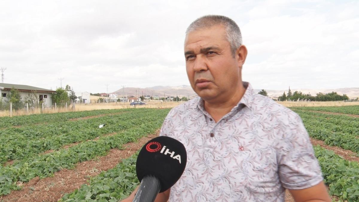 Bidonu 900 TL! Sıcağa karşı hasat mücadelesi 3