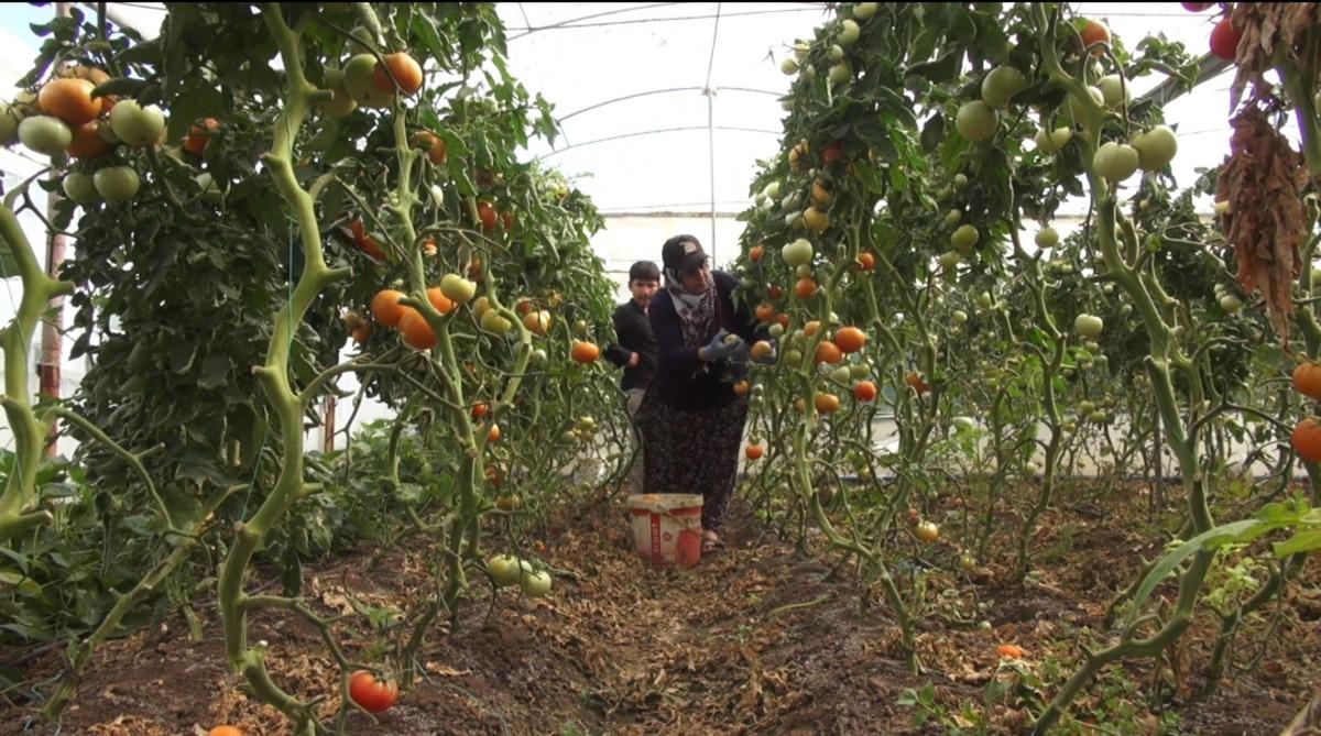 &lsquo;Burada olmaz  denilmişti: G&ouml;&ccedil;&uuml; bile tersine &ccedil;evirdi! 2