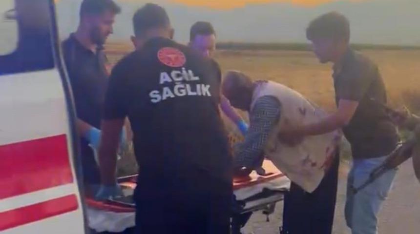 Gaziantep&rsquo;te hayvan otlatma kavgası; 2 yaralı