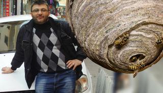 Bunu sakın yapmayın! Yuvalarına sıcak su d&ouml;kt&uuml;, 1 hafta sonra hayatını kaybetti