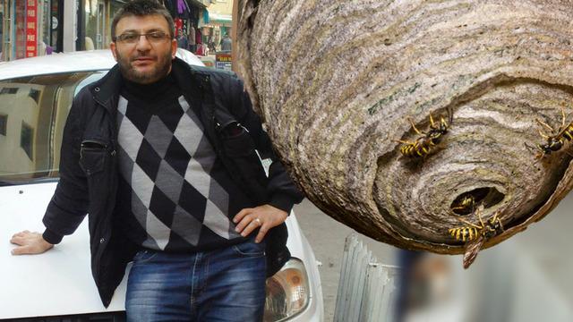 Eşek arı yuvasına sıcak su döktü! 1 hafta sonra doğum gününde hayatını kaybetti