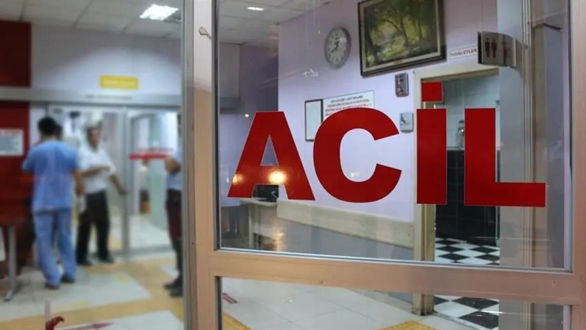 Eşek arı yuvasına sıcak su döktü! 1 hafta sonra doğum gününde hayatını kaybetti 2