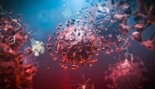 DS&Ouml;'dan kritik uyarı: Kongo'da Ebola krizi kontrolden &ccedil;ıkıyor