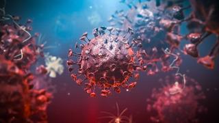 Dünya Sağlık Örgütü: Demokratik Kongo Cumhuriyeti'ndeki Ebola salgını kontrolden çıkıyor