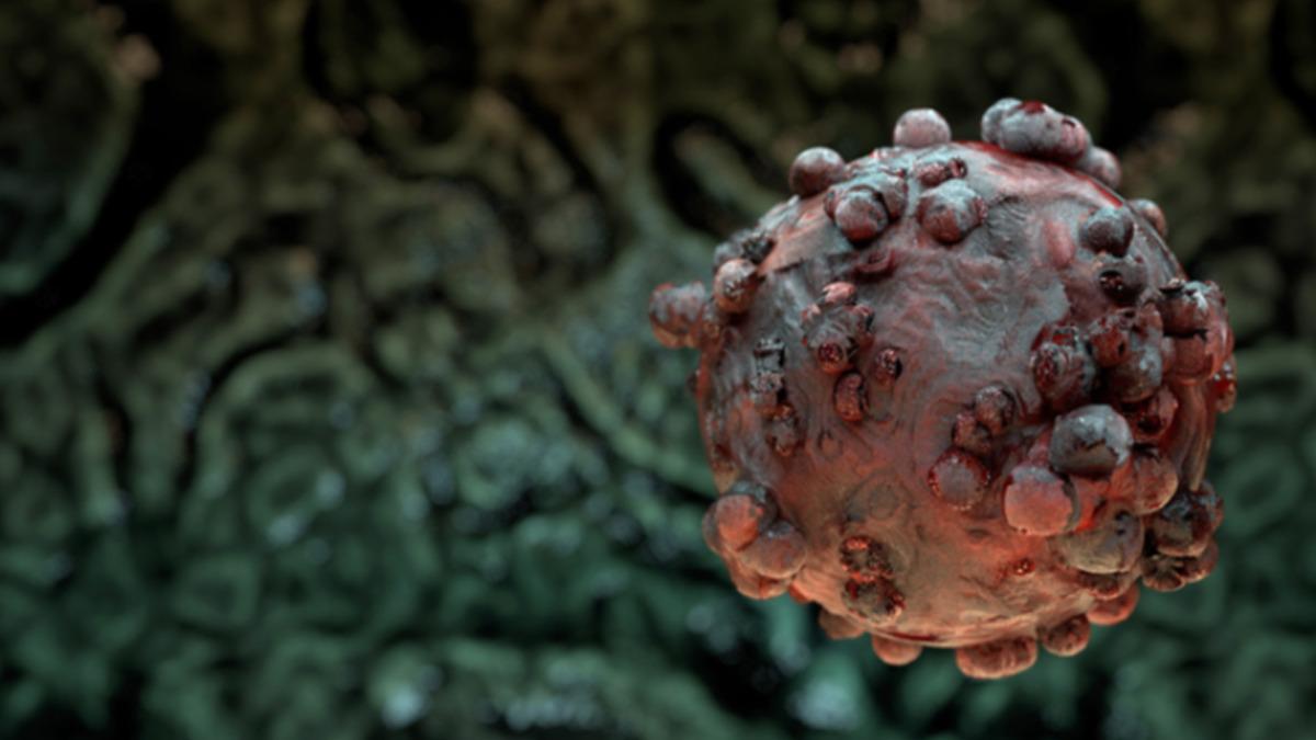Dünya Sağlık Örgütü: Demokratik Kongo Cumhuriyeti ndeki Ebola salgını kontrolden çıkıyor 2