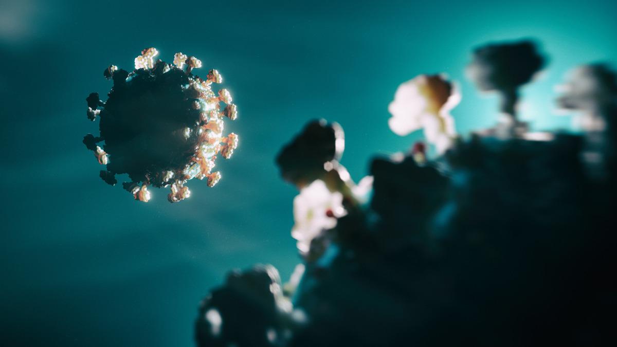 Dünya Sağlık Örgütü: Demokratik Kongo Cumhuriyeti ndeki Ebola salgını kontrolden çıkıyor 3