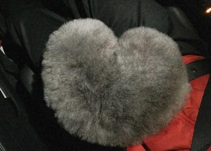 İnternetin yeni fenomeni: Yuvarlak kürklü Susam  G4