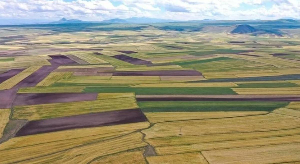 Yatırımcının ilgisi artıyor: Sadece değer kazanacak beklentisiyle hareket etmemeli 1