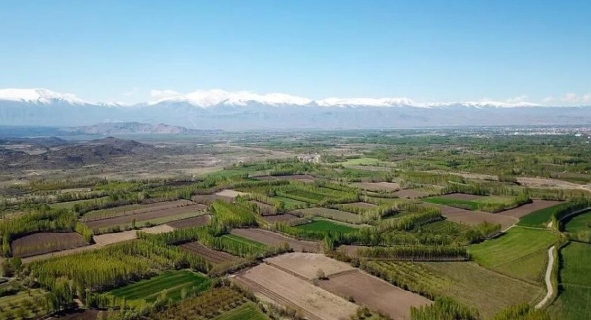 Yatırımcının ilgisi artıyor: Sadece değer kazanacak beklentisiyle hareket etmemeli 2
