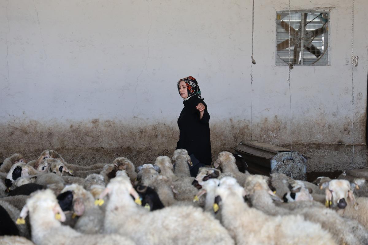 Temmuzda temel attı, aralıkta bitirdi: Bir tane daha kurmayı düşünüyorum 1