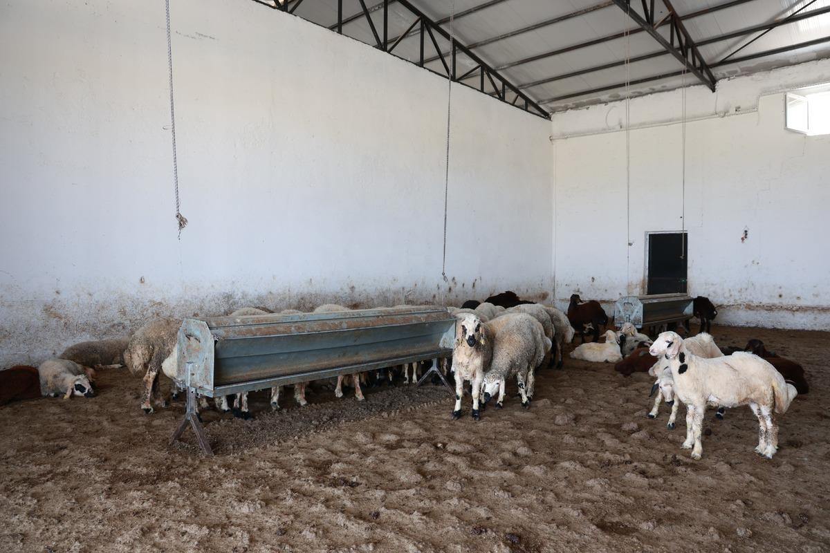 Temmuzda temel attı, aralıkta bitirdi: Bir tane daha kurmayı düşünüyorum 4