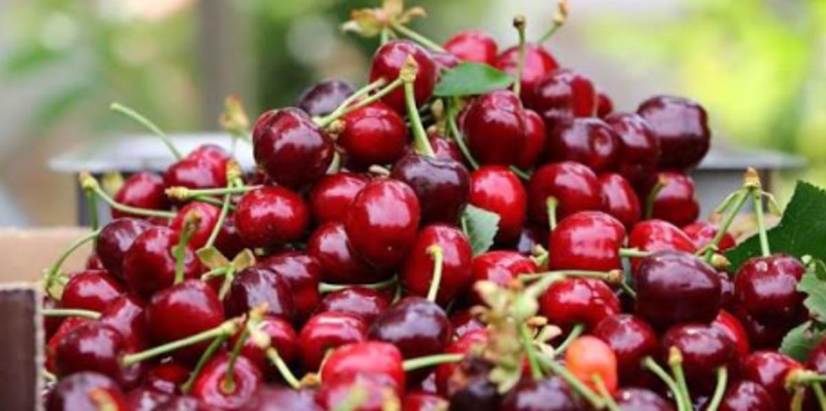 Temmuzda etiketler değişti! Fiyatı en &ccedil;ok artan &uuml;r&uuml;n belli oldu 4