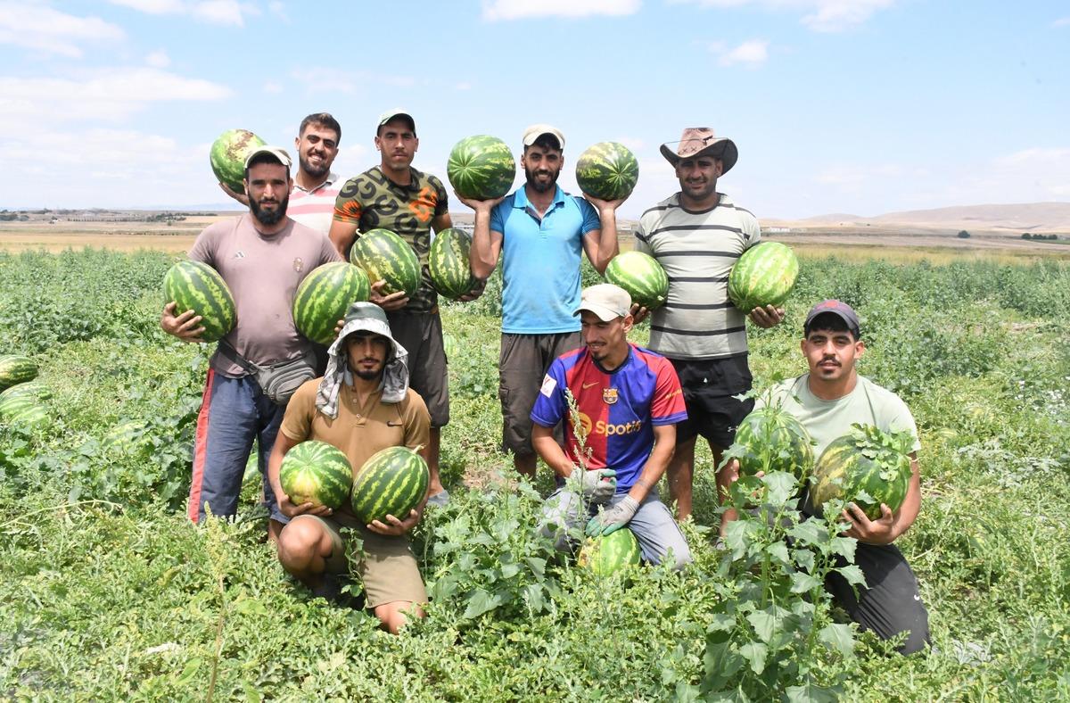 Mesai başladı: Yurt dışına gitti, büyük ilgi gördü! Bu yıl talep daha fazla 3