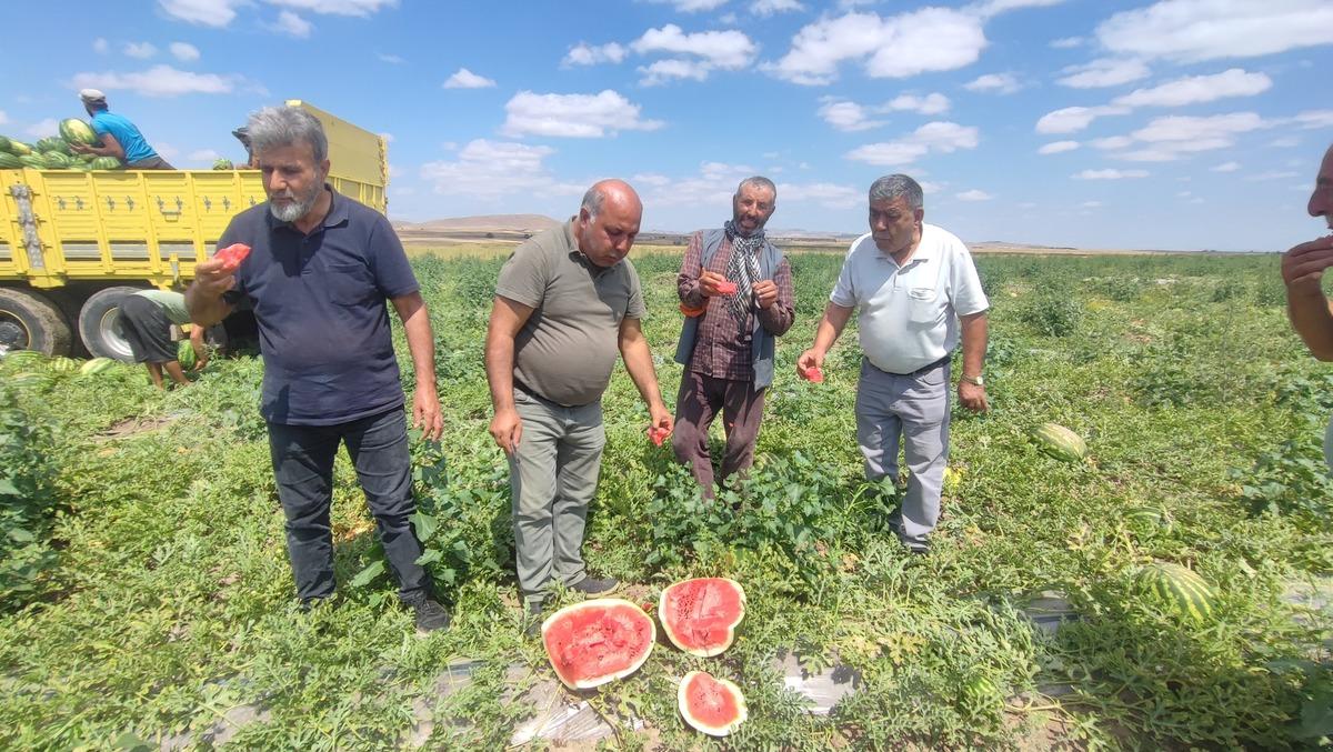 Mesai başladı: Yurt dışına gitti, büyük ilgi gördü! Bu yıl talep daha fazla 6