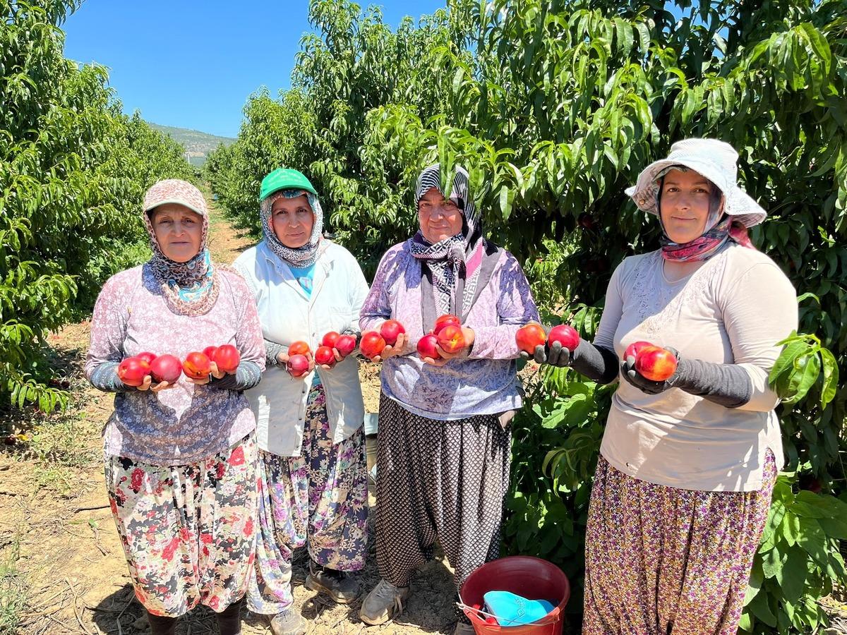 Tarlada 10 TL ye satıyorlar Vatandaş marketten 100 TL ye alıyor 1