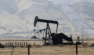 OPEC+ &uuml;yesi 7 &uuml;lke, eyl&uuml;lde petrol &uuml;retimini g&uuml;nl&uuml;k 188 bin varil artıracak