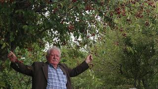 Bu yıl 3 ton olacak: Mühendis yönlendirmesiyle bu işe başladı