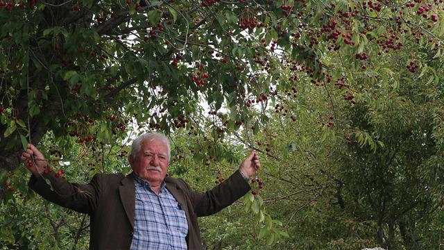 Bu yıl 3 ton olacak: Mühendis yönlendirmesiyle bu işe başladı