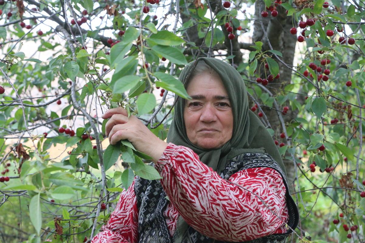 Bu yıl 3 ton olacak: M&uuml;hendis y&ouml;nlendirmesiyle bu işe başladı 2