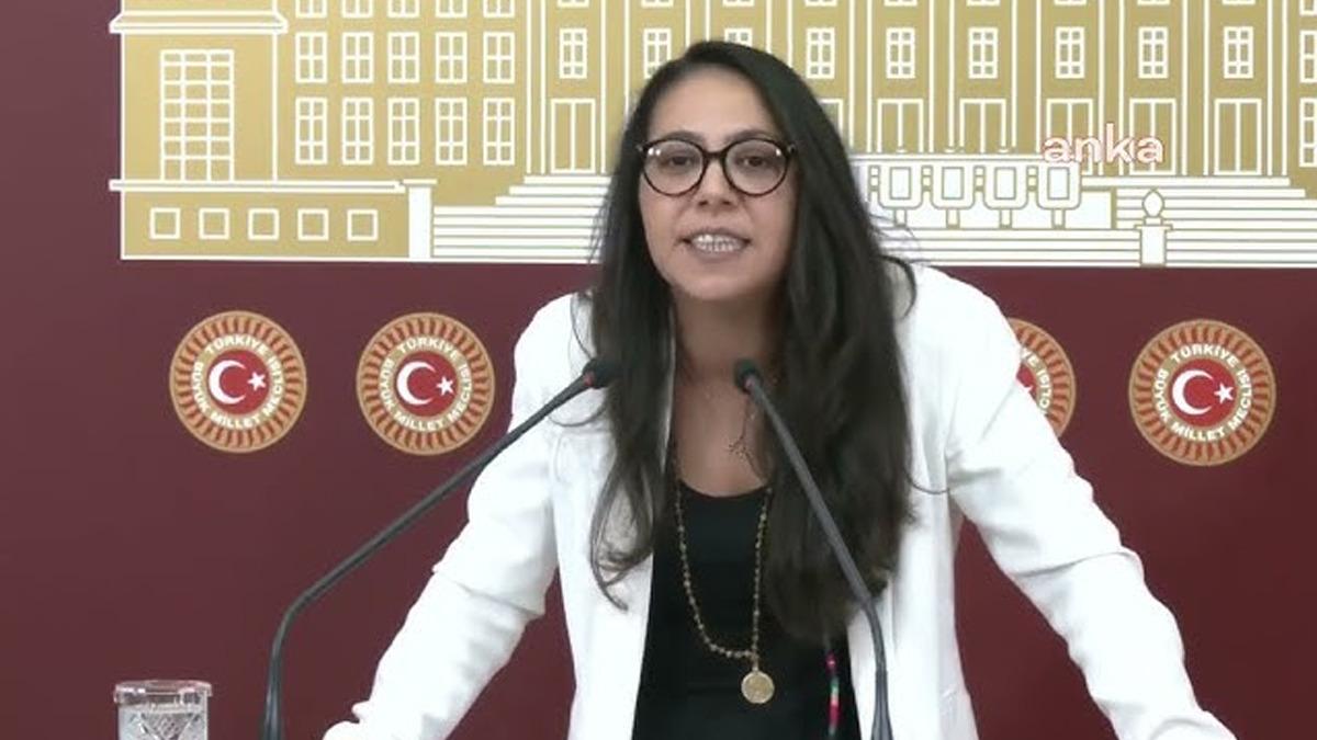 Gazeteci Ertuğrul &Ouml;zk&ouml;k ve İş&ccedil;i Partisi İstanbul Milletvekili Sera Kadıgil e  Cumhurbaşkanına hakaret  soruşturması 1