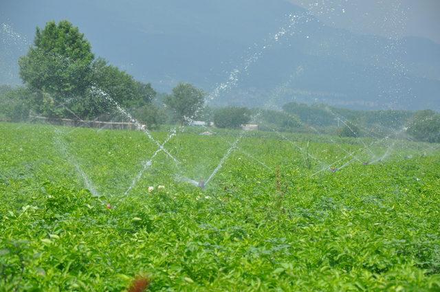 Babasultan Barajı'ndan tarım alanlarının sulanmasına başlandı