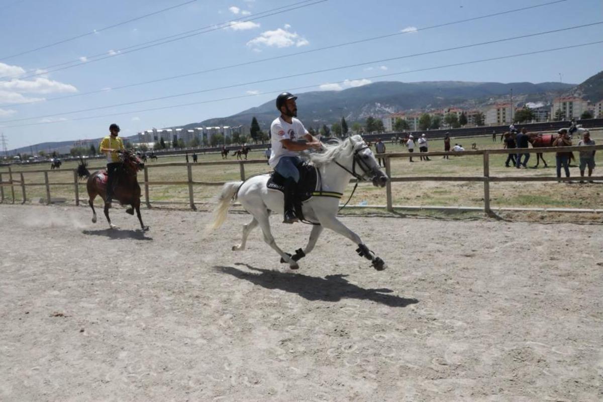 K&uuml;tahya da Rahvan At Yarışları nefes kesti: 43 ilden 130 un &uuml;zerinde at şampiyonluk i&ccedil;in koştu 1