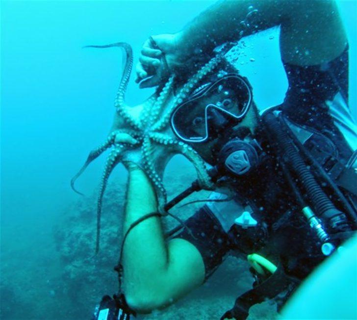 Mavi derinliklerin koruyucusu  G1