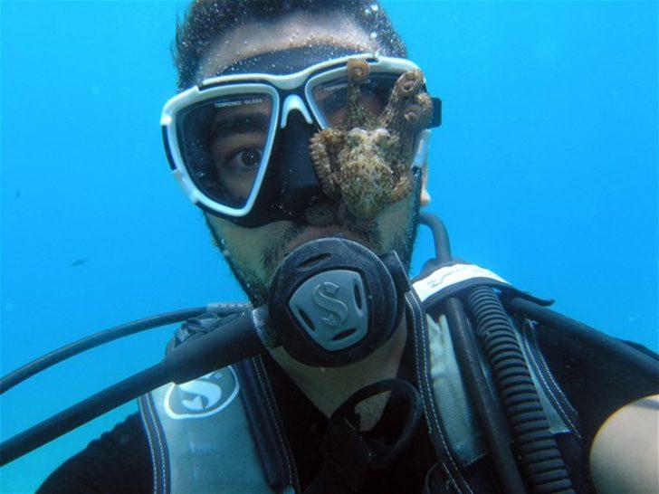 Mavi derinliklerin koruyucusu  G2