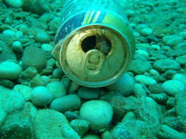 Mavi derinliklerin koruyucusu  G4