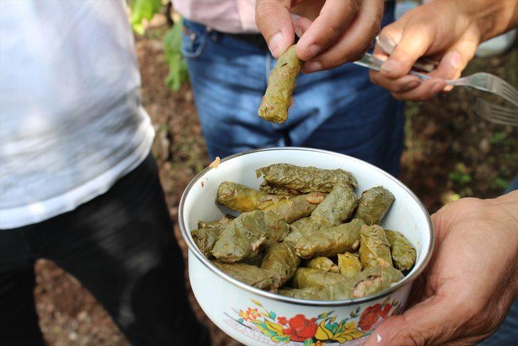 Yaprağı meyvesinden 10 kat değerli G4