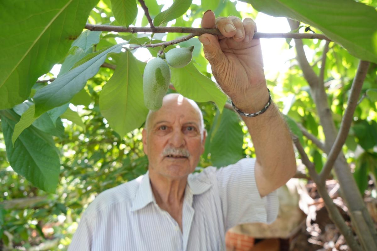 50 ülkeden tohum topladı, dünya bahçesi kurdu! Yılda yaklaşık 1 ton elde edecek 3