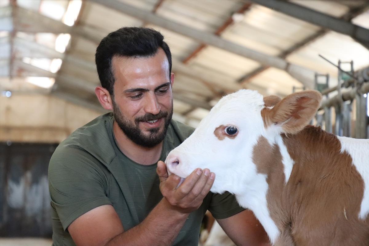 Memuriyeti çözüm yolu gibi görmesinler Üniversiteden mezun olunca o işe başladı 1