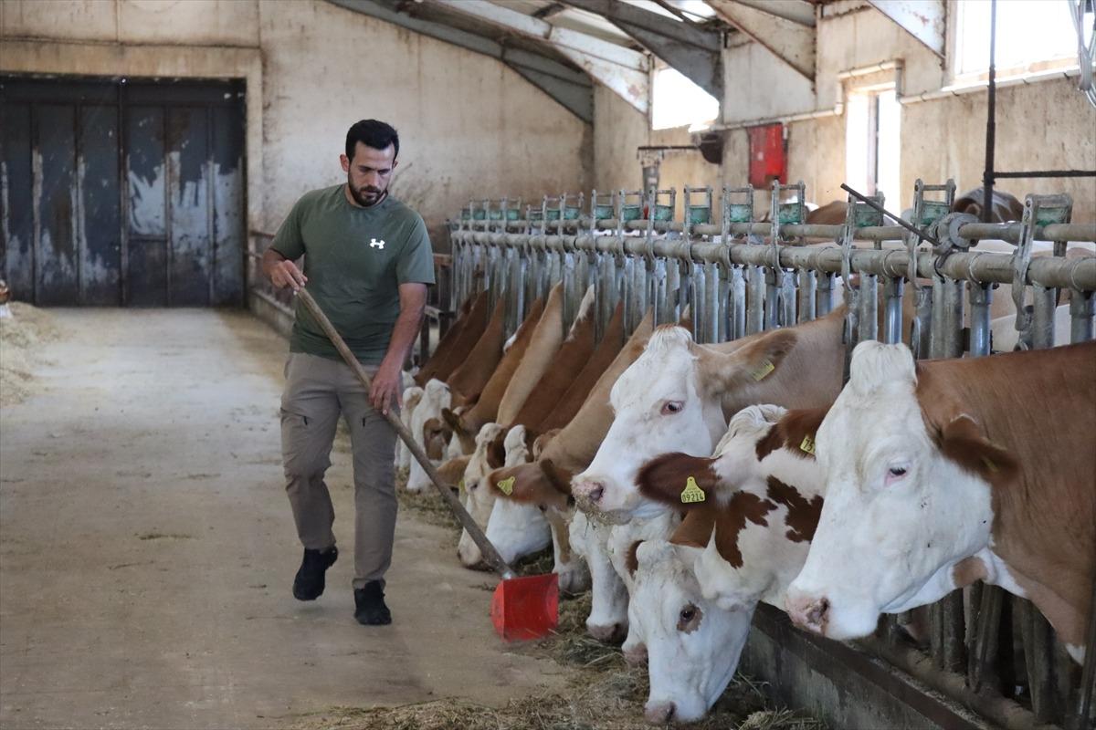 Memuriyeti çözüm yolu gibi görmesinler Üniversiteden mezun olunca o işe başladı 2